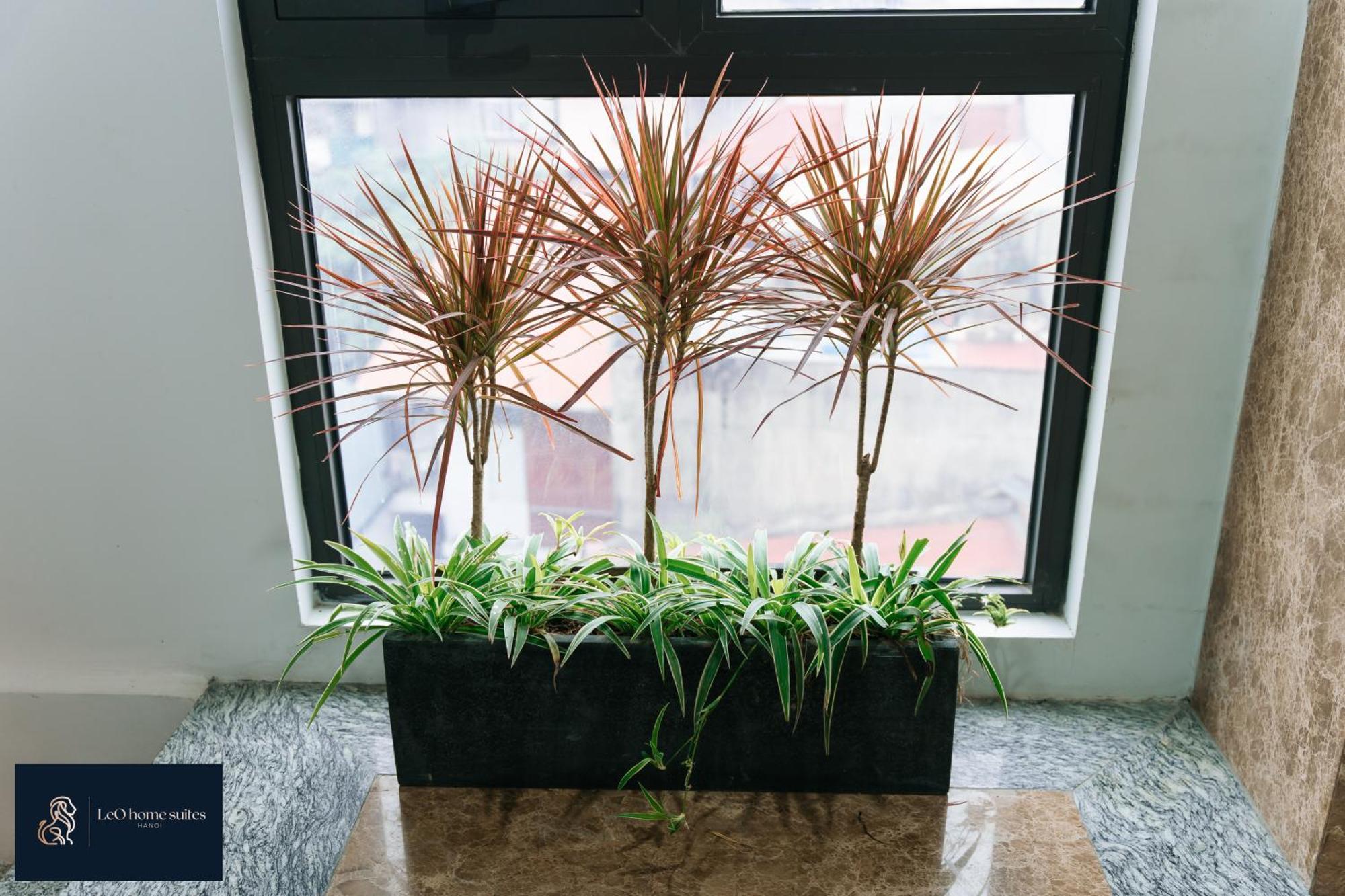 High-Ser Apartment -2Br - Niceview - Parking - Spacious - In Center Hanoi Exterior photo